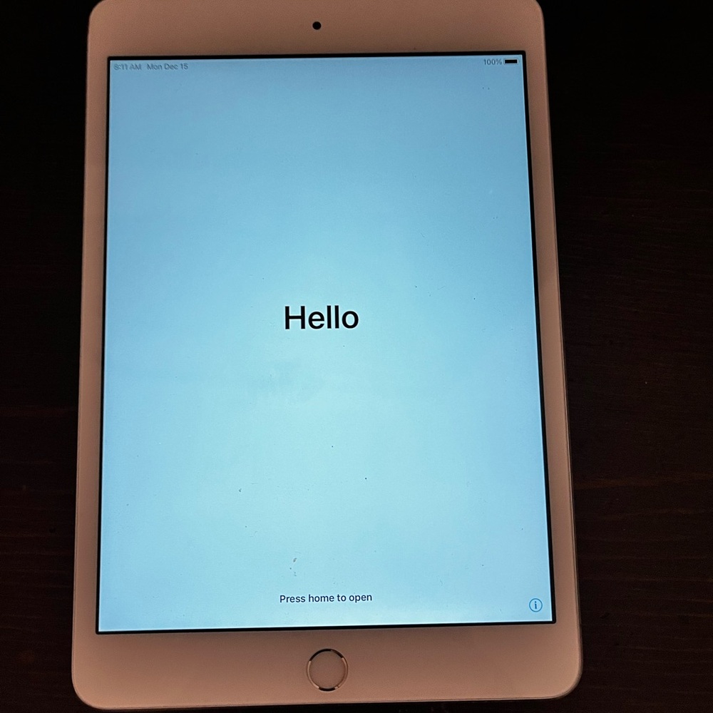 Apple Tablet - Silver mini- 4- older version- in excellent condition